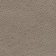 H5613 Taupe